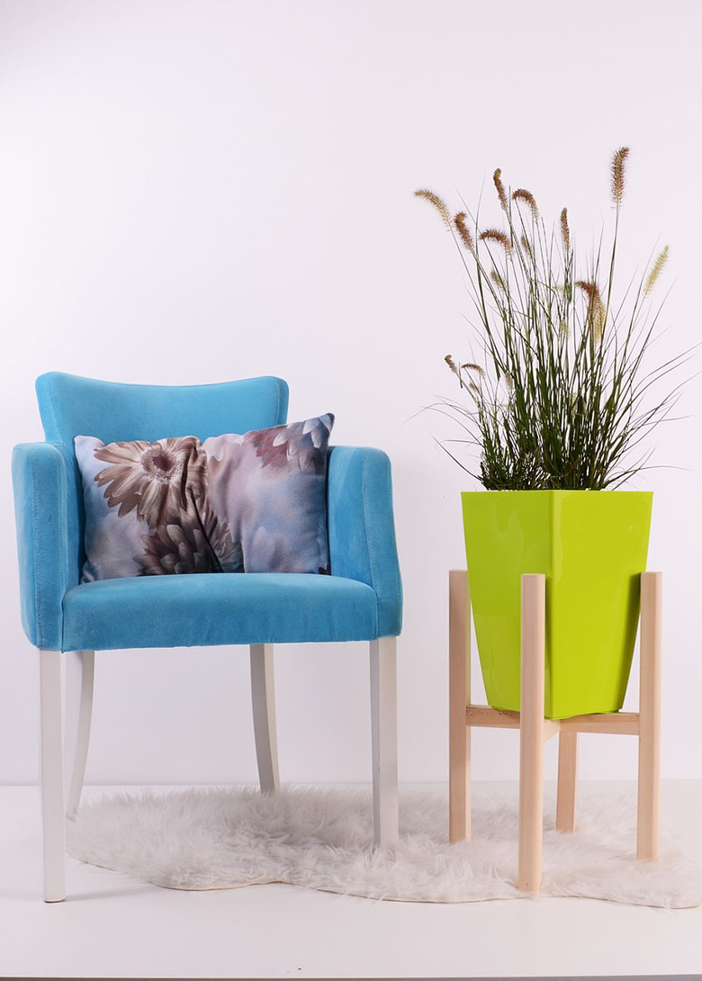 Picture of chair and plant